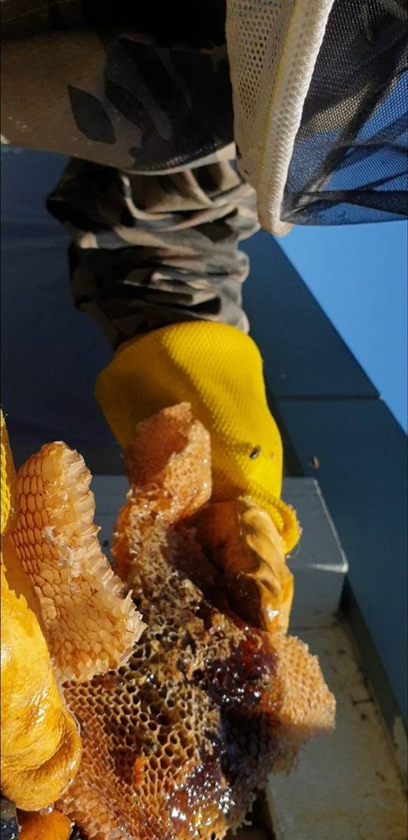 Yıkılan okul duvarındaki inanılmaz manzara 4