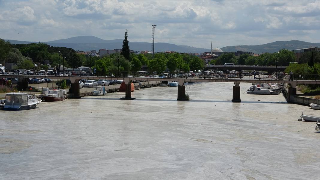 Müsilaj Çanakkale'yi ikiye bölen Sarıçay'ı da kapladı 1