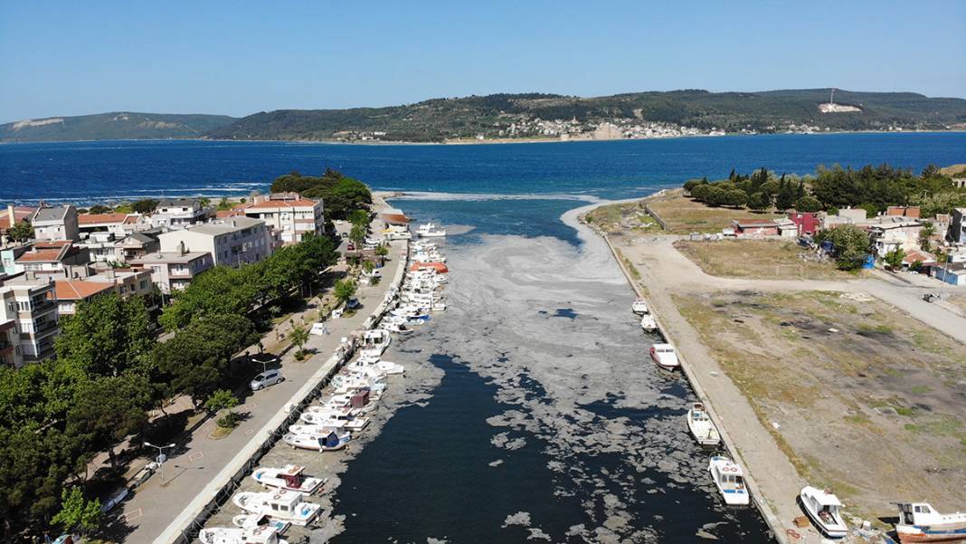 Müsilaj Çanakkale'yi ikiye bölen Sarıçay'ı da kapladı 2