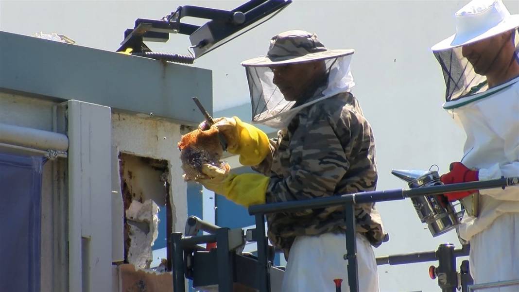 Yıkılan okul duvarındaki inanılmaz manzara 5