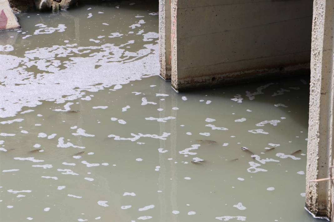 Tedirgin eden ölümler! Buradan tarlalarımızı suluyoruz... 4