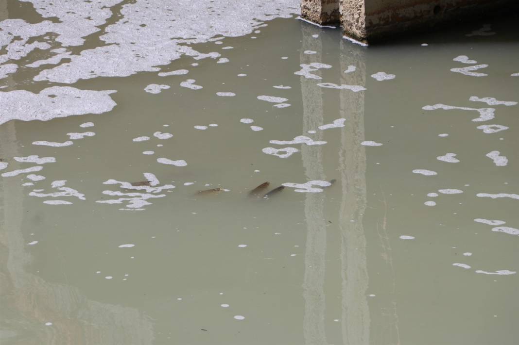 Tedirgin eden ölümler! Buradan tarlalarımızı suluyoruz... 6