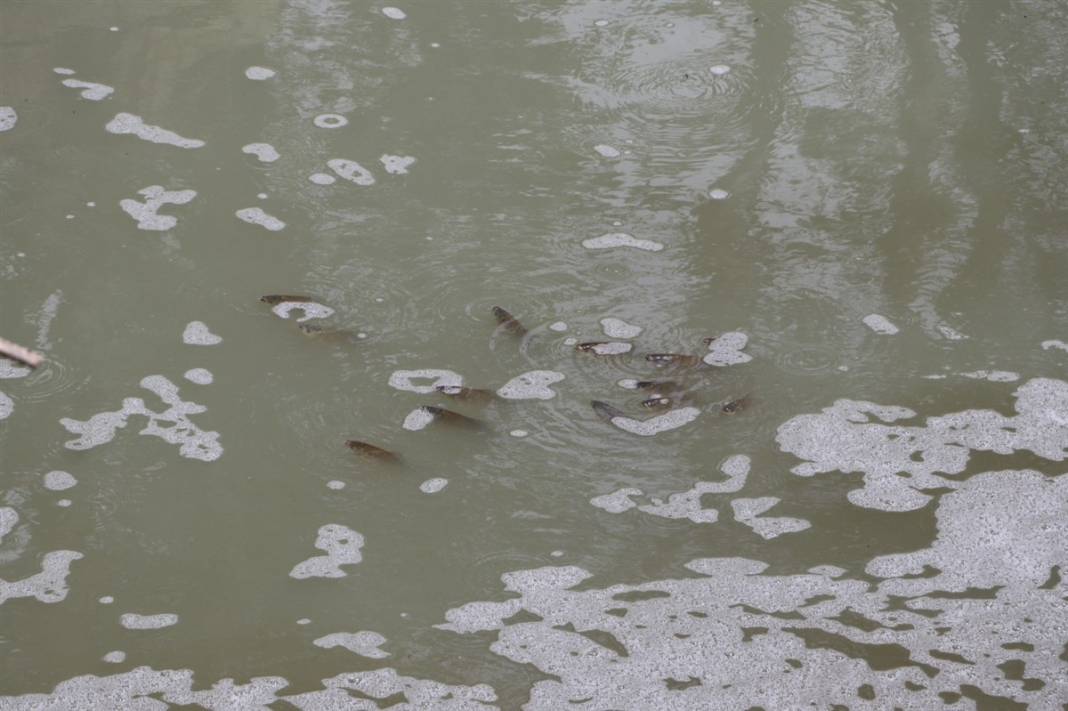 Tedirgin eden ölümler! Buradan tarlalarımızı suluyoruz... 7