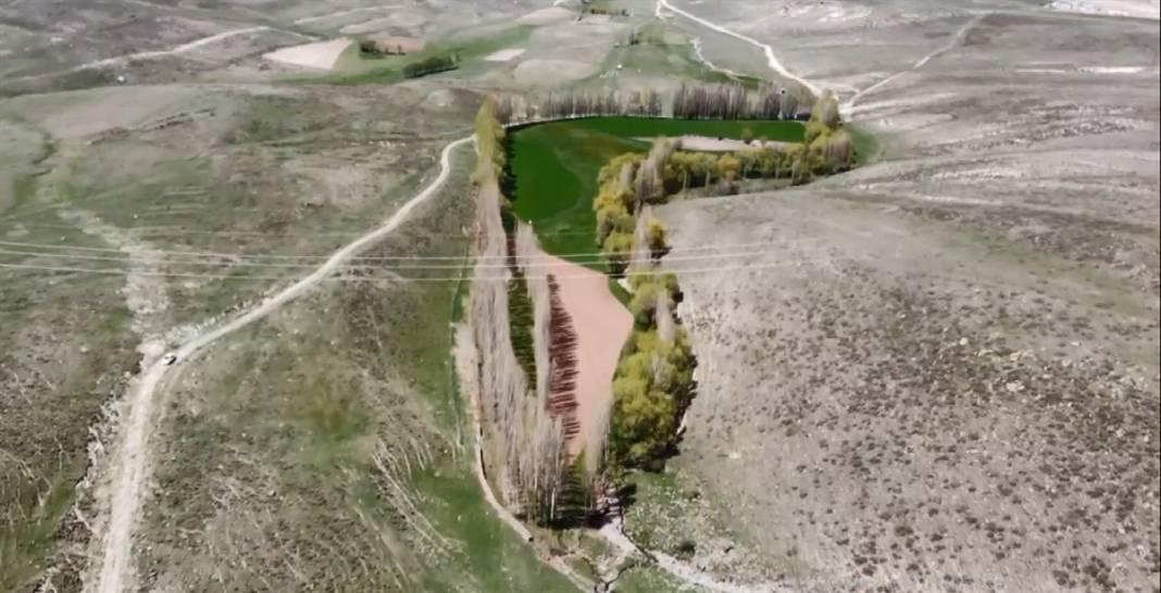 Bozkırın ortasında adeta yeşil bir vaha... Tam 60 yıldır devam ediyor 3
