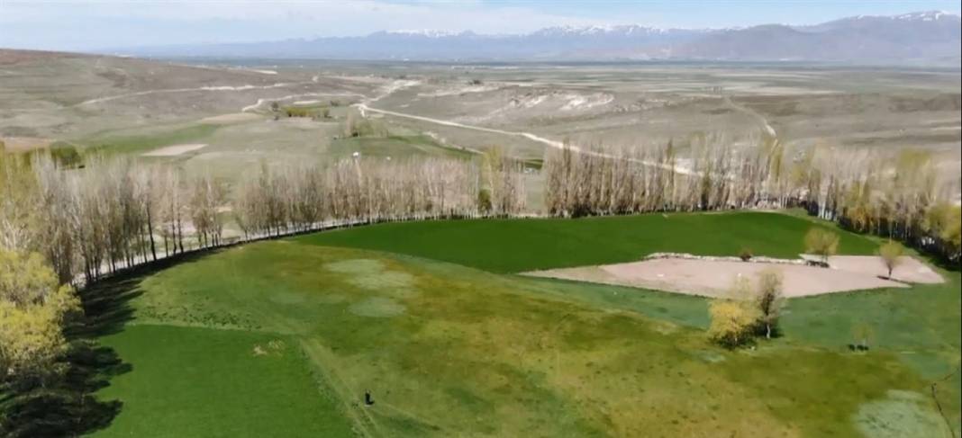 Bozkırın ortasında adeta yeşil bir vaha... Tam 60 yıldır devam ediyor 4