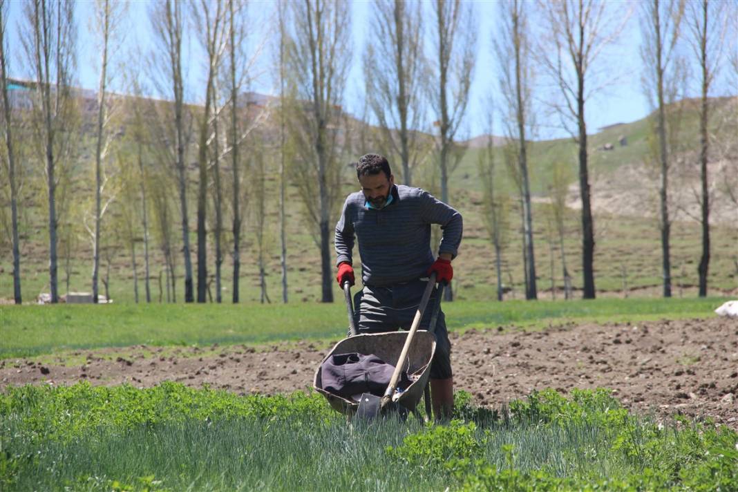 Bozkırın ortasında adeta yeşil bir vaha... Tam 60 yıldır devam ediyor 5
