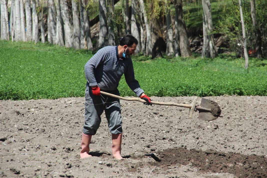 Bozkırın ortasında adeta yeşil bir vaha... Tam 60 yıldır devam ediyor 7
