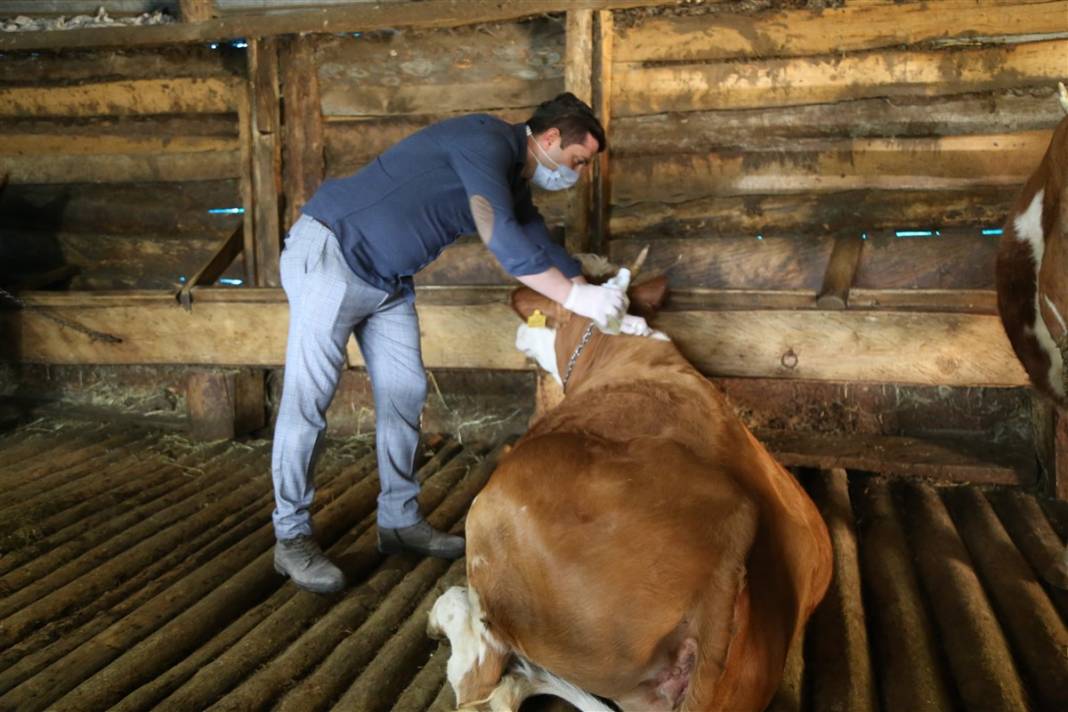 Koronavirüsten daha tehlikeli! Kabus geri döndü... 6