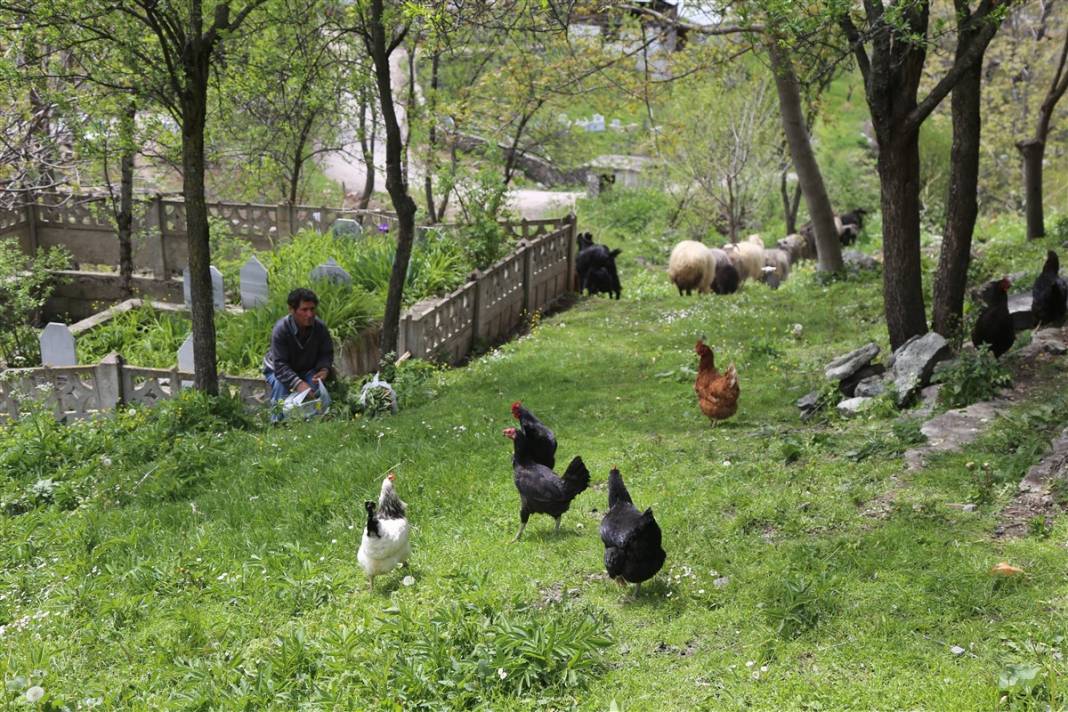 Koronavirüsten daha tehlikeli! Kabus geri döndü... 13