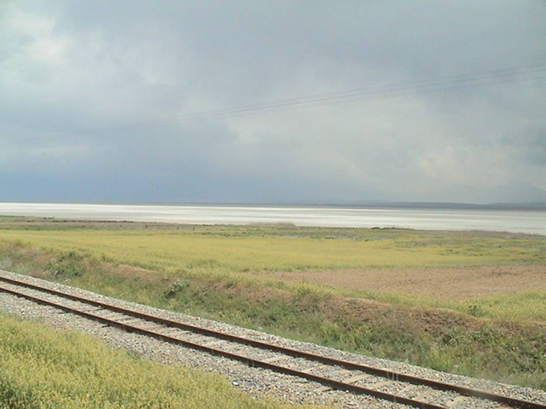 Türkiye'de eşi benzeri yok ama can çekişiyor! Tam 4 kat küçüldü 8