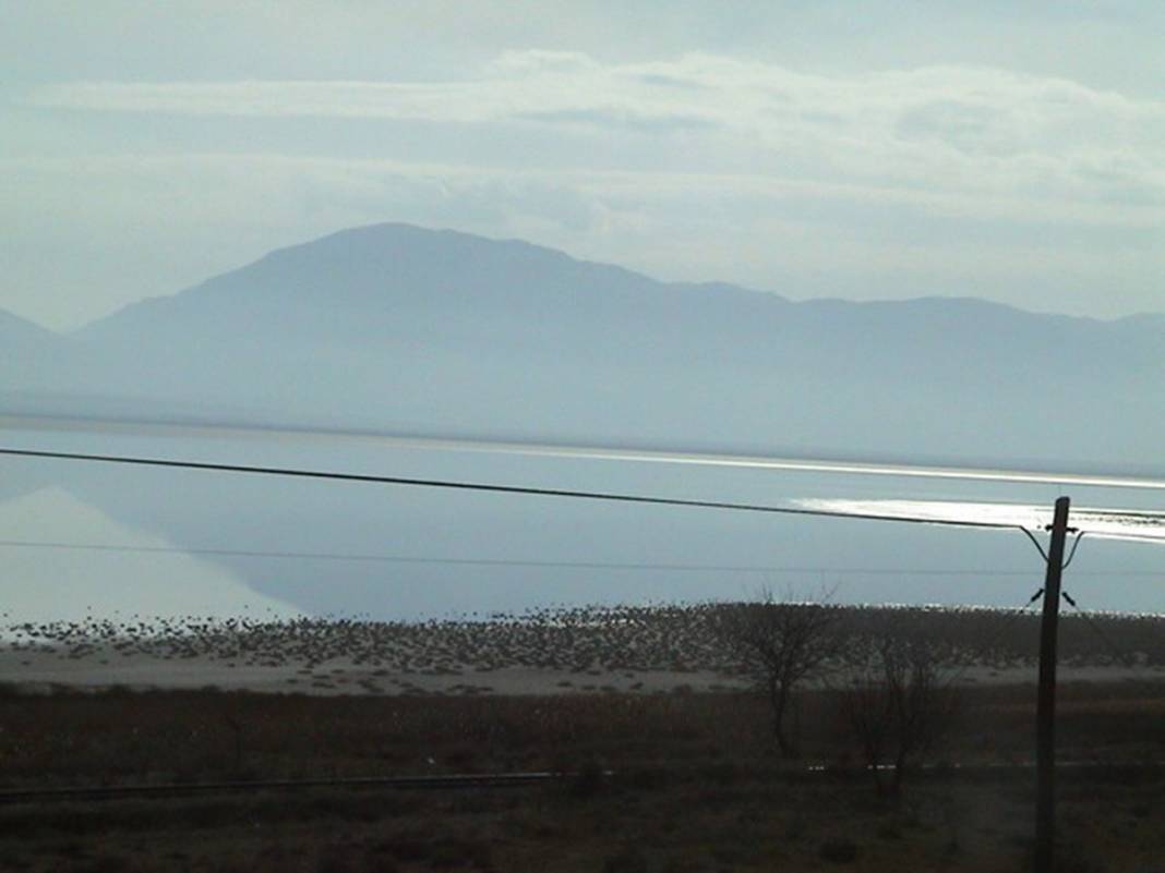 Türkiye'de eşi benzeri yok ama can çekişiyor! Tam 4 kat küçüldü 9