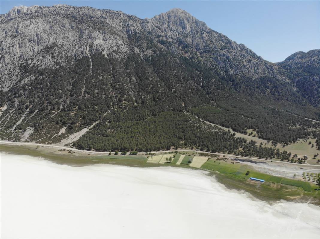 Türkiye'de eşi benzeri yok ama can çekişiyor! Tam 4 kat küçüldü 5