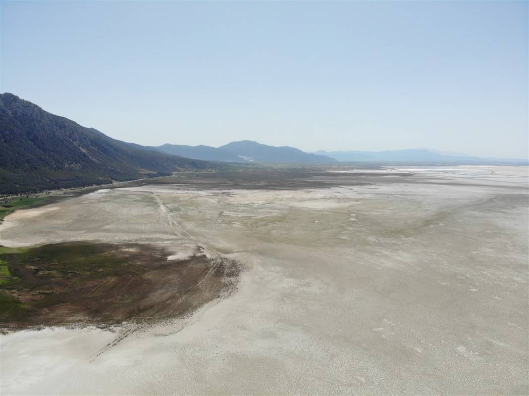 Türkiye'de eşi benzeri yok ama can çekişiyor! Tam 4 kat küçüldü 6