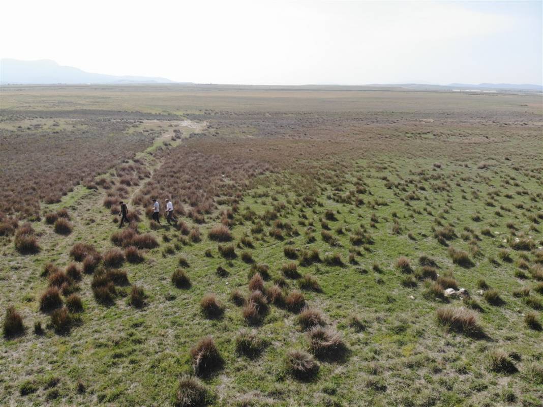 Türkiye'de eşi benzeri yok ama can çekişiyor! Tam 4 kat küçüldü 7