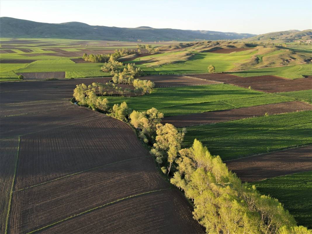 Akarsu ile bütünleşip kıvrılıyor 1