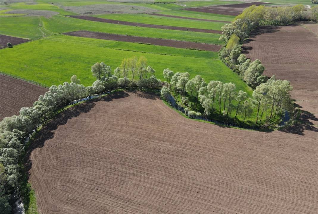 Akarsu ile bütünleşip kıvrılıyor 2