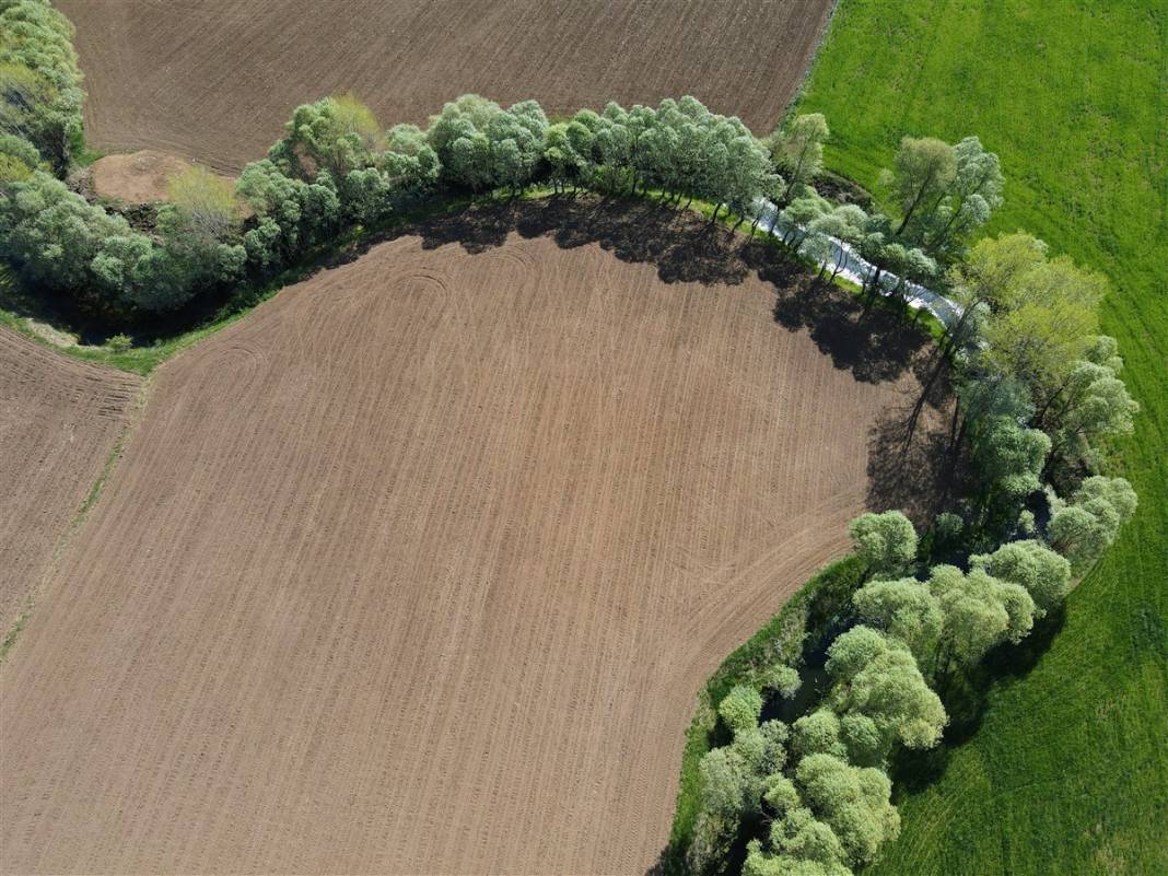 Akarsu ile bütünleşip kıvrılıyor 3