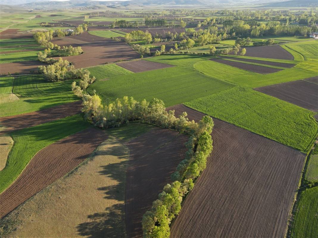 Akarsu ile bütünleşip kıvrılıyor 5