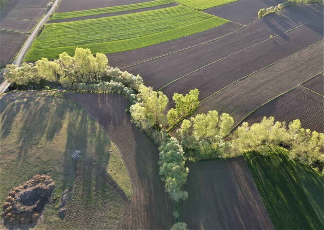 Akarsu ile bütünleşip kıvrılıyor 6