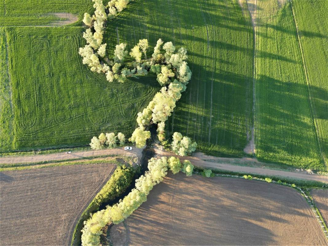 Akarsu ile bütünleşip kıvrılıyor 7