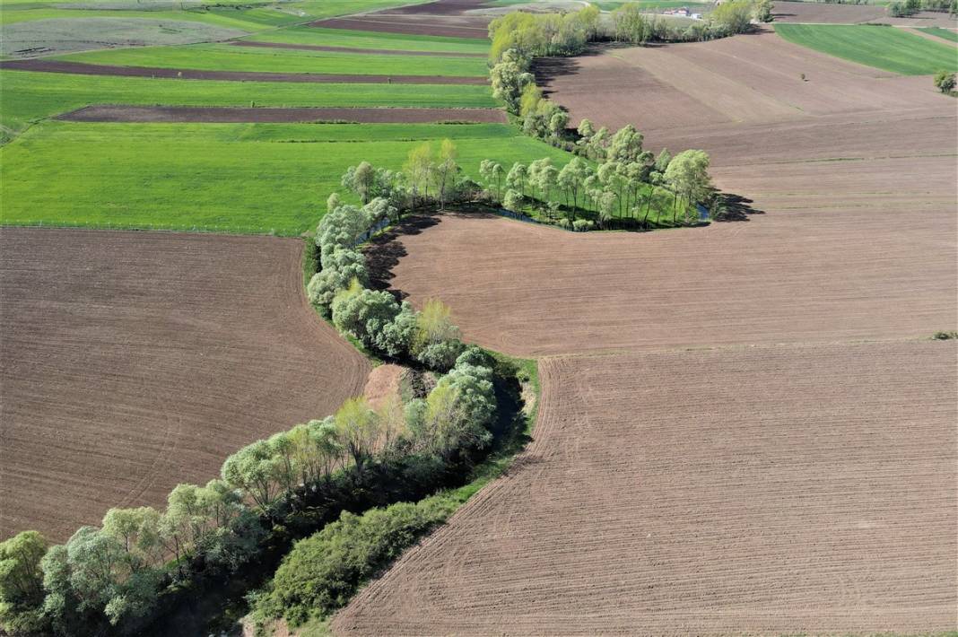 Akarsu ile bütünleşip kıvrılıyor 8