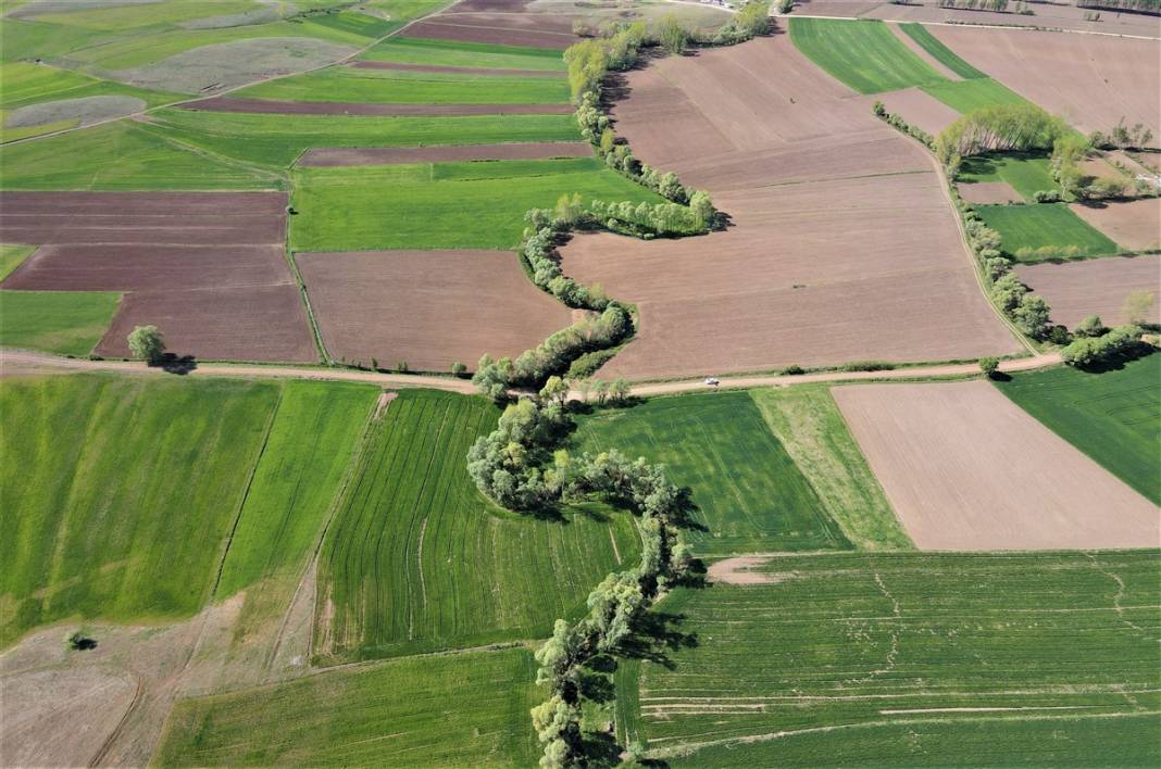 Akarsu ile bütünleşip kıvrılıyor 9