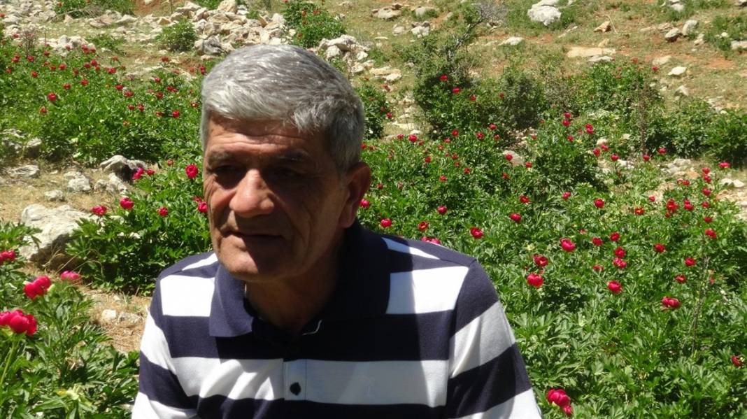 Gizli noktalara kurulan fotokapanlar devrede: Elleyene 80 bin lira ceza 1