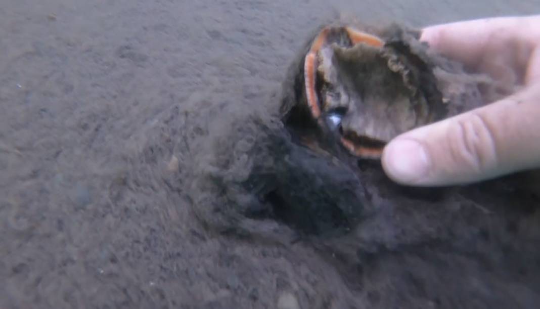 Burnumuzun dibindeki ölüm kalım savaşı 4