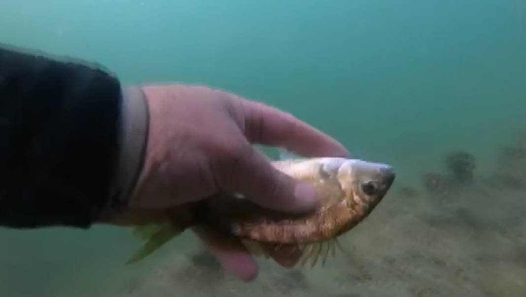 Burnumuzun dibindeki ölüm kalım savaşı 8