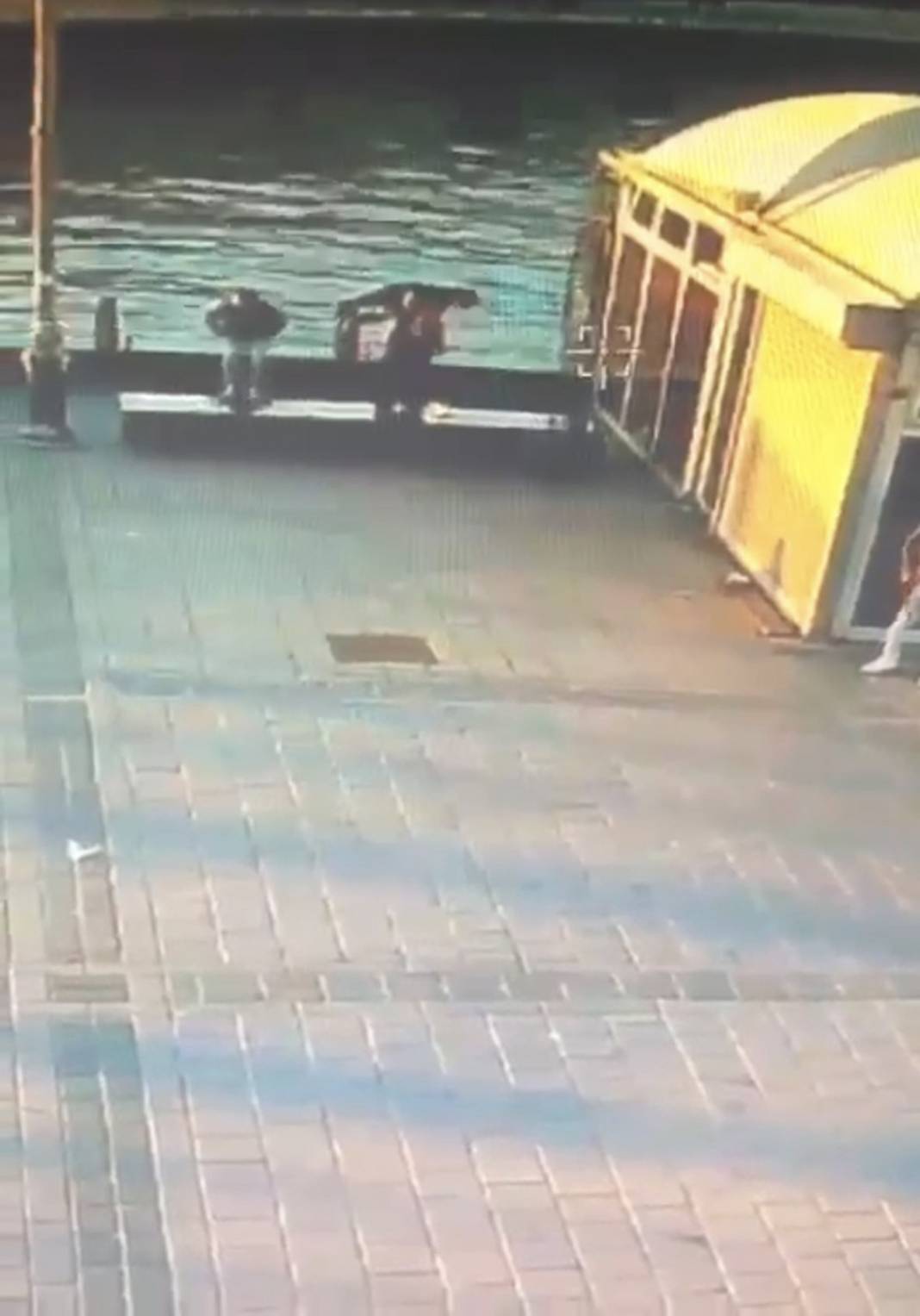 İstanbul'un göbeğinde korkunç cinayet: Kaldırıp denize attı 5
