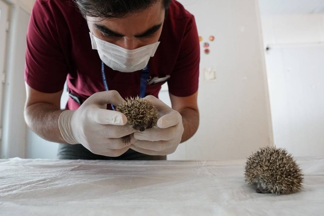Artık emin ellerde! Hikayeleri yürek burktu 2