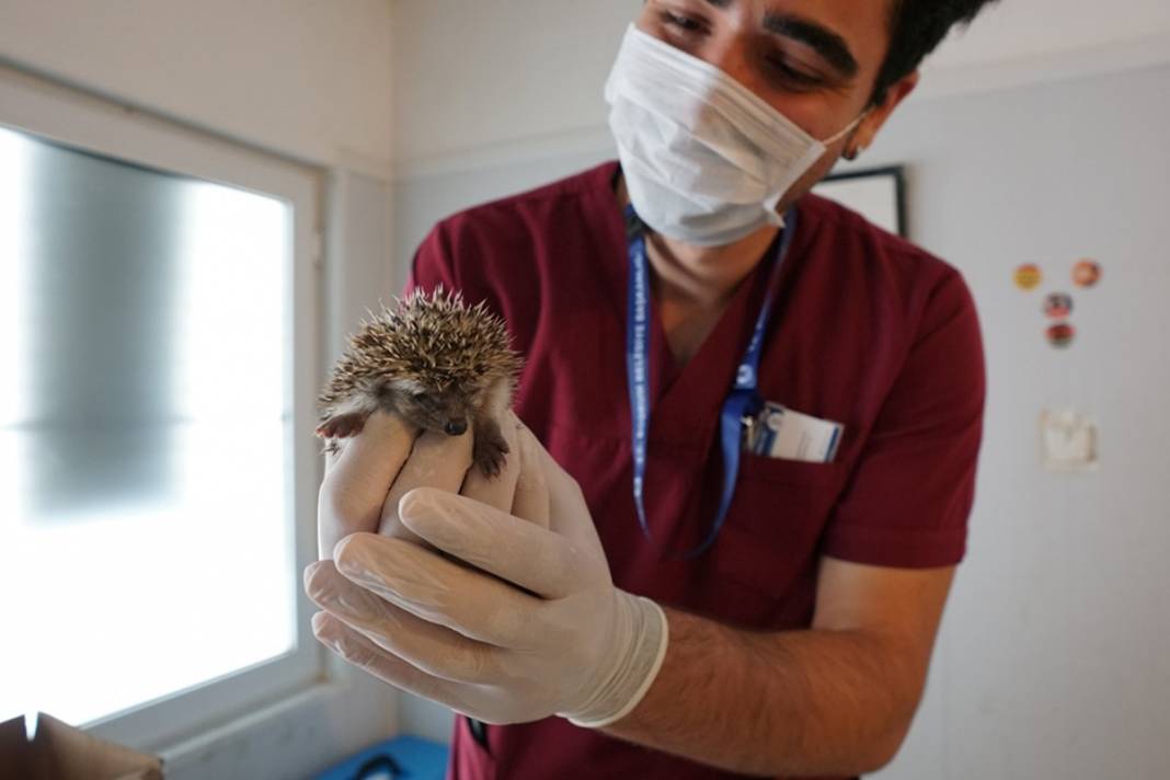 Artık emin ellerde! Hikayeleri yürek burktu 3