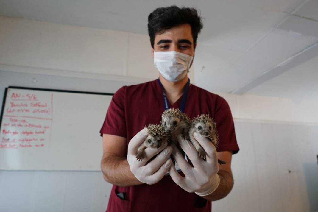 Artık emin ellerde! Hikayeleri yürek burktu 7