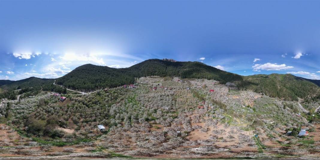 İngiliz kraliyet ailesinin tercihi 11