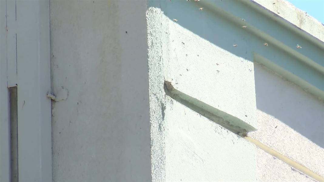 Yıkılan okul duvarındaki inanılmaz manzara 6