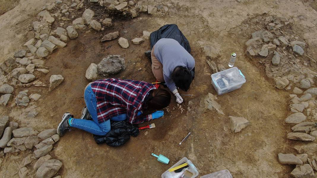 İstanbul'un göbeğinde müthiş keşif! Dünya göç haritasını değiştirebilir 24