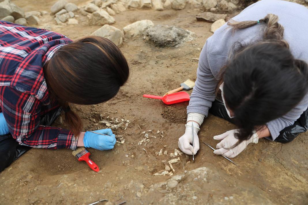 İstanbul'un göbeğinde müthiş keşif! Dünya göç haritasını değiştirebilir 9