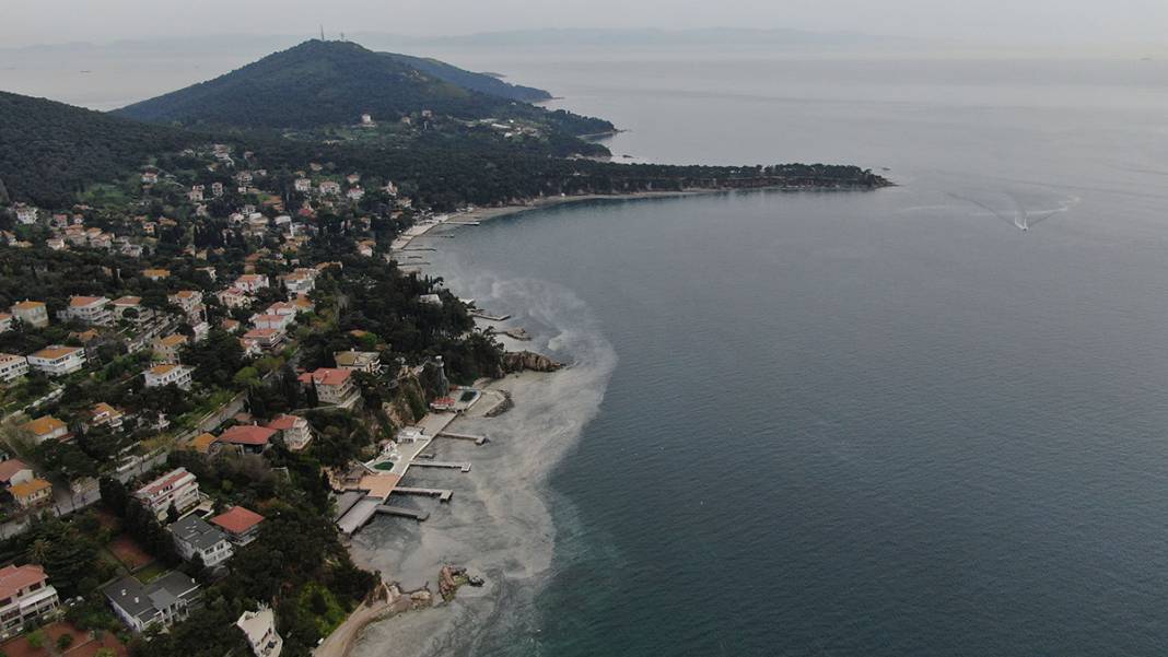 Büyükada'da tedirgin eden görüntü! 'Kokudan duramıyoruz' 1