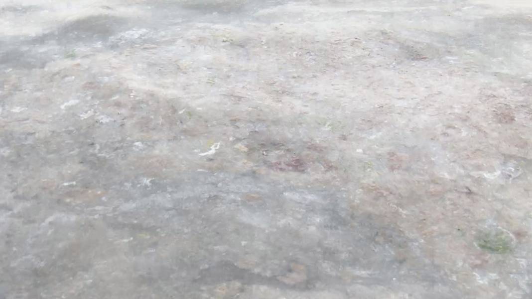 Büyükada'da tedirgin eden görüntü! 'Kokudan duramıyoruz' 12