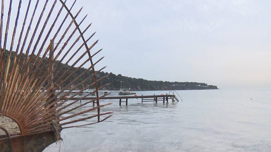 Büyükada'da tedirgin eden görüntü! 'Kokudan duramıyoruz' 13