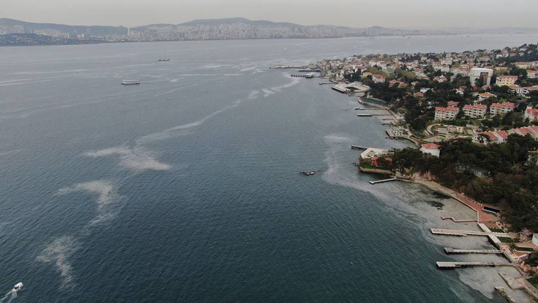 Büyükada'da tedirgin eden görüntü! 'Kokudan duramıyoruz' 2