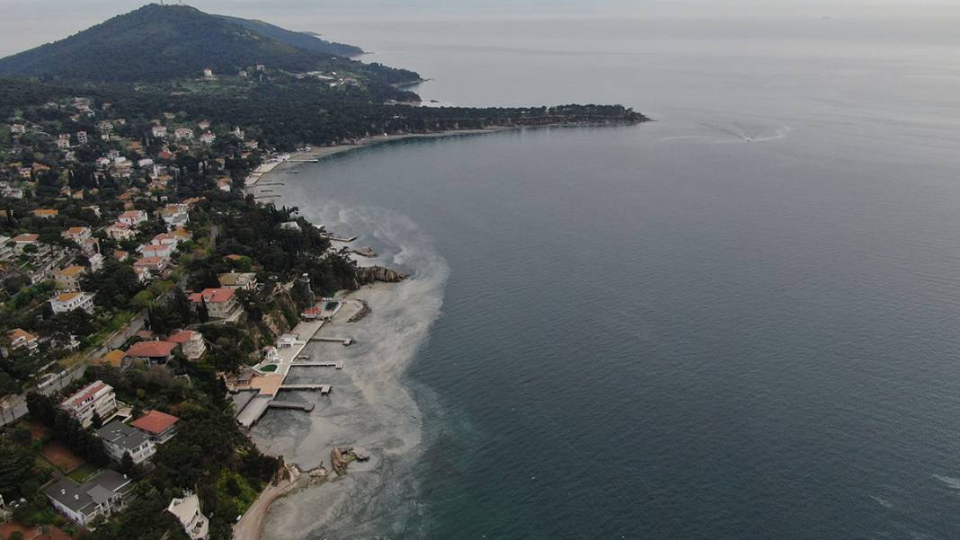 Büyükada'da tedirgin eden görüntü! 'Kokudan duramıyoruz' 4