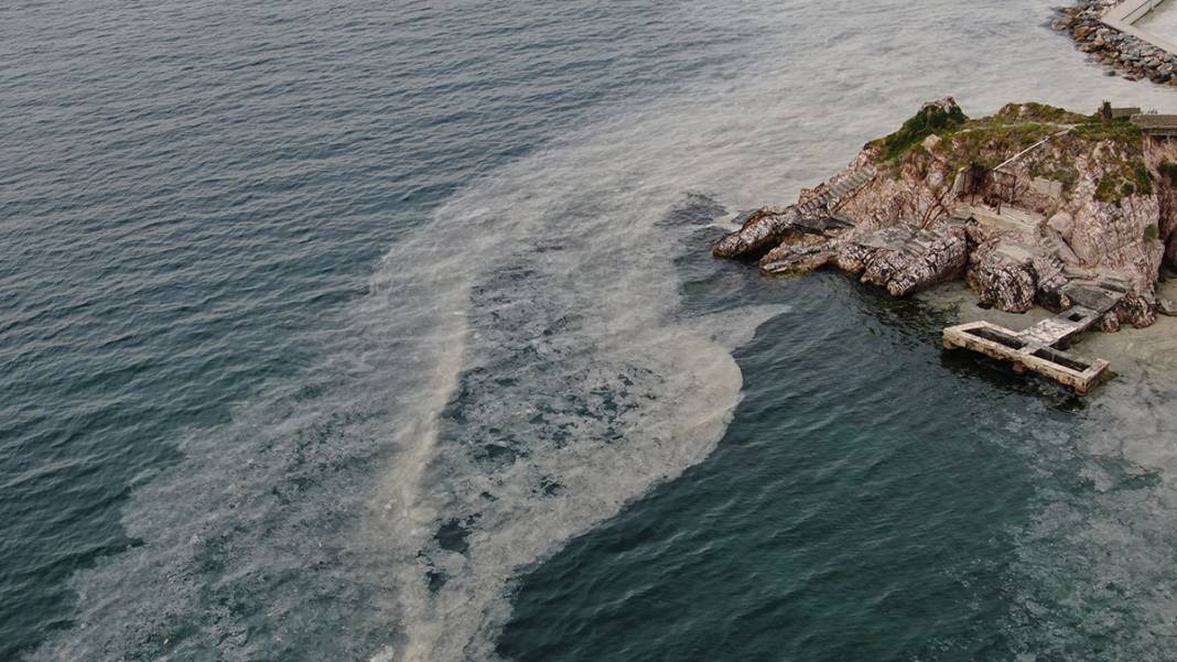 Büyükada'da tedirgin eden görüntü! 'Kokudan duramıyoruz' 6