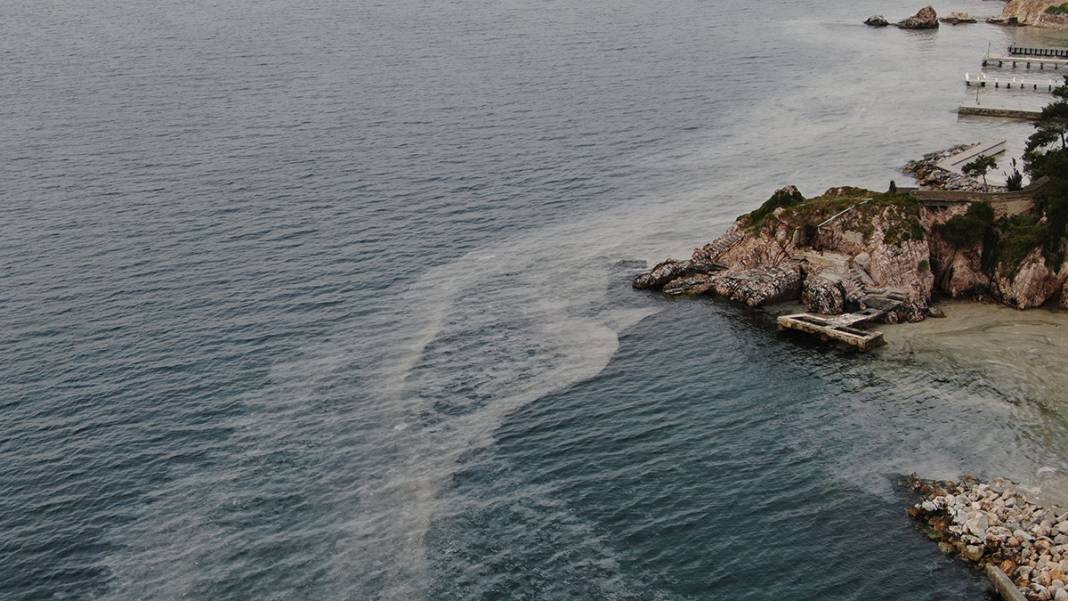 Büyükada'da tedirgin eden görüntü! 'Kokudan duramıyoruz' 7