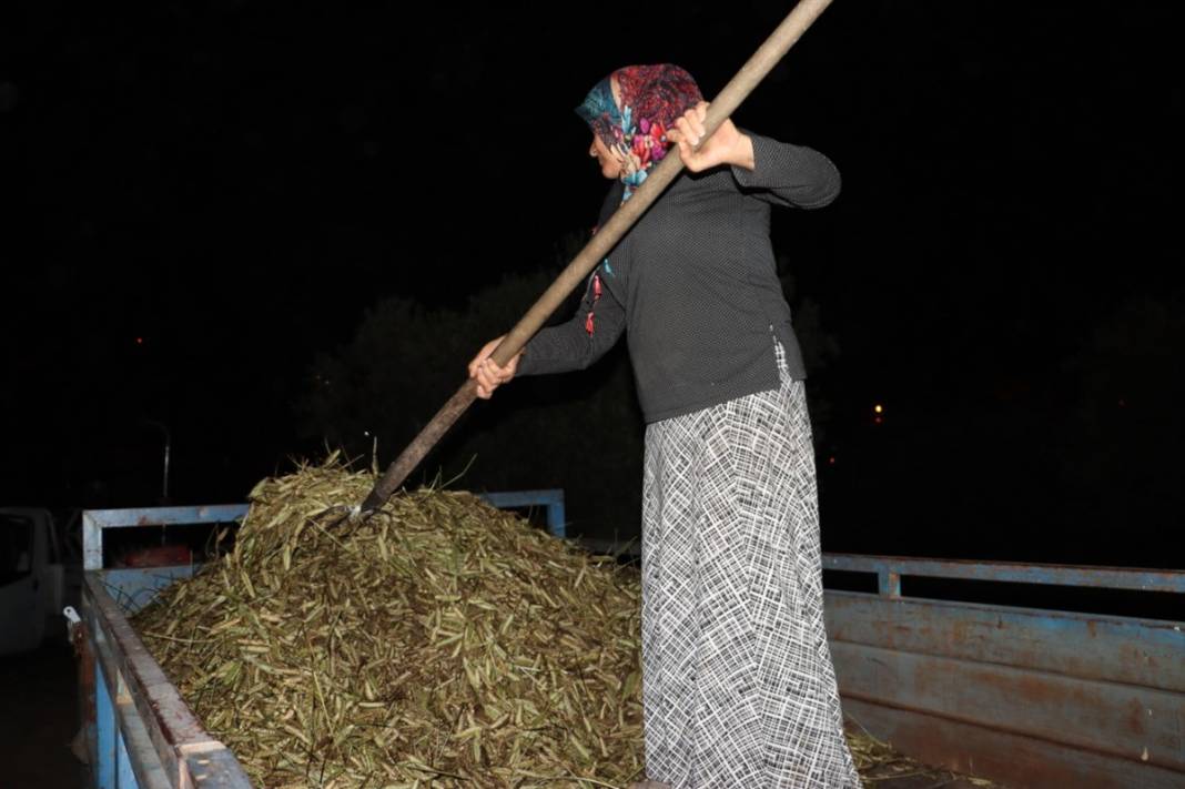 Sadece 1 ile 10 Mayıs tarihleri arasında yanıyor 6