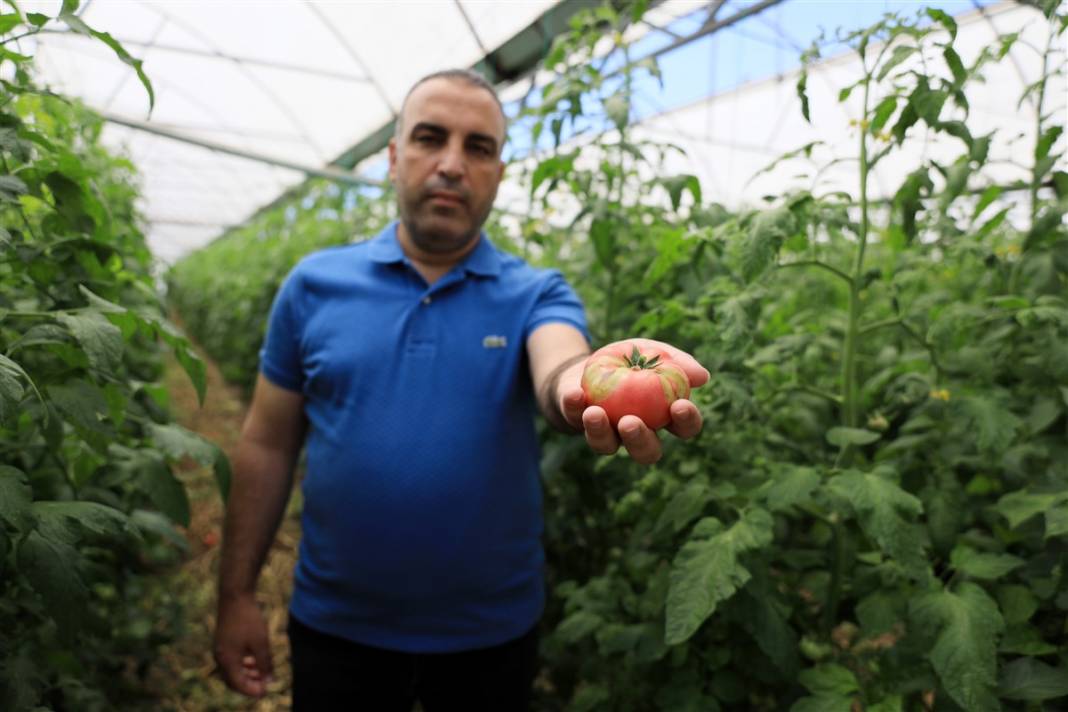 Türkiye'nin önündeki yeni tehlike! İsrail'den geldi koronavirüs gibi yayılıyor 7
