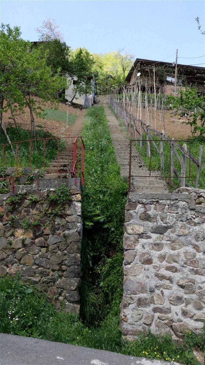 Fıkra gibi ama gerçek! Komşuların 'inat merdivenleri' 5