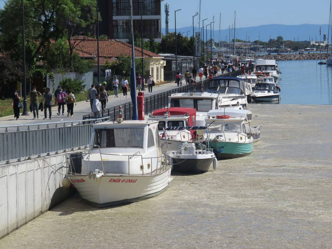 Beton dökülmüş gibi! Kurbağalıdere'yi görenler şaşkın 9