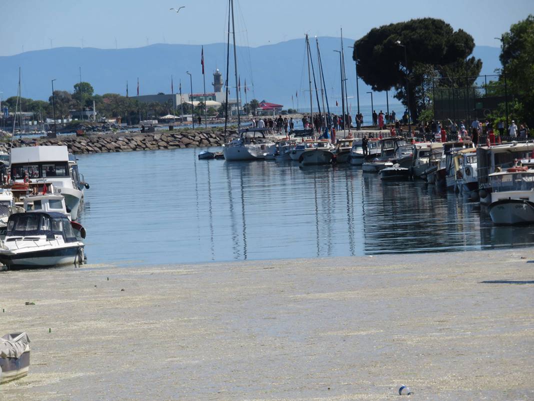 Beton dökülmüş gibi! Kurbağalıdere'yi görenler şaşkın 10
