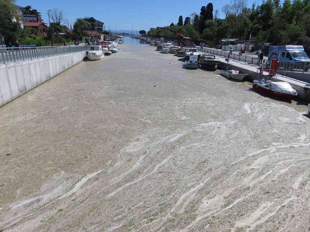 Beton dökülmüş gibi! Kurbağalıdere'yi görenler şaşkın 11